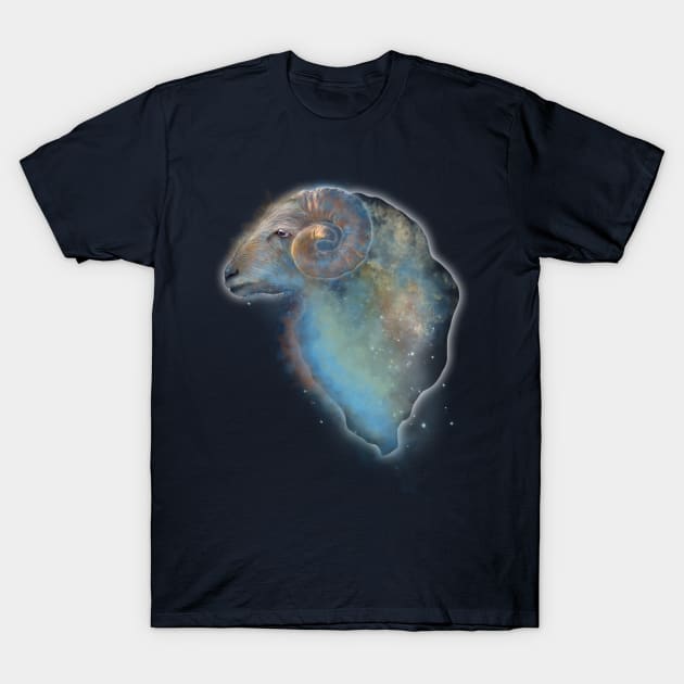 Aries Nebula T-Shirt by lidijaarts